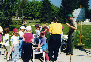 Kráľovstvo energie