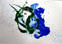 5lucia_ziackova